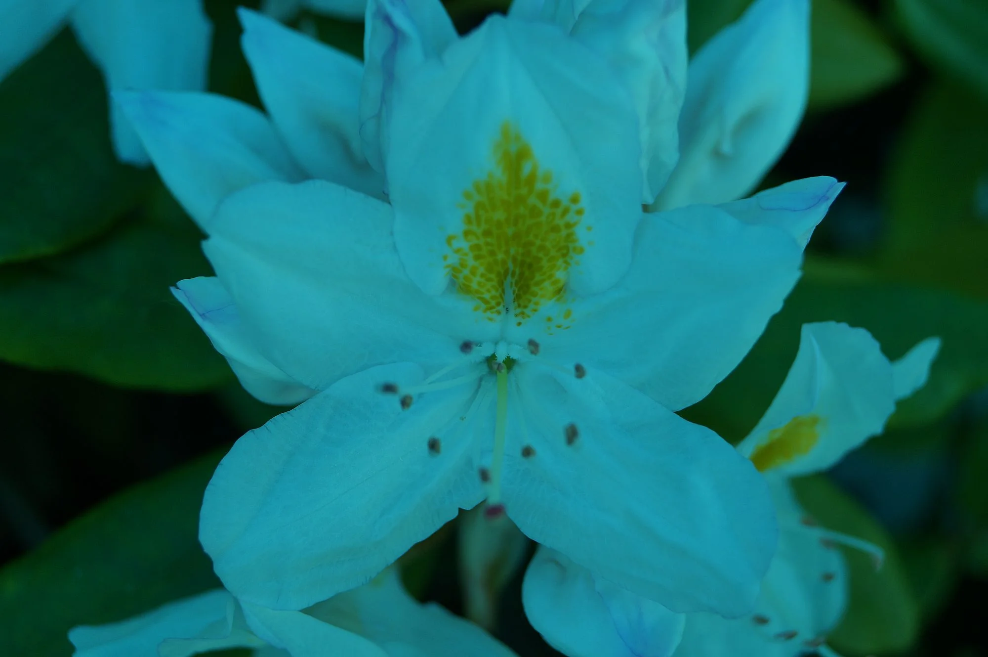 DSC09984.webp