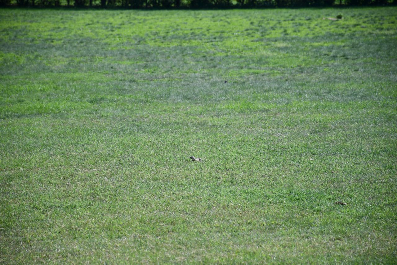 DSC_0733.jpg