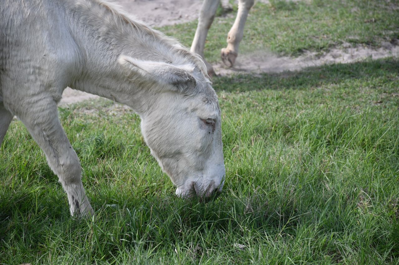 DSC_0760.jpg