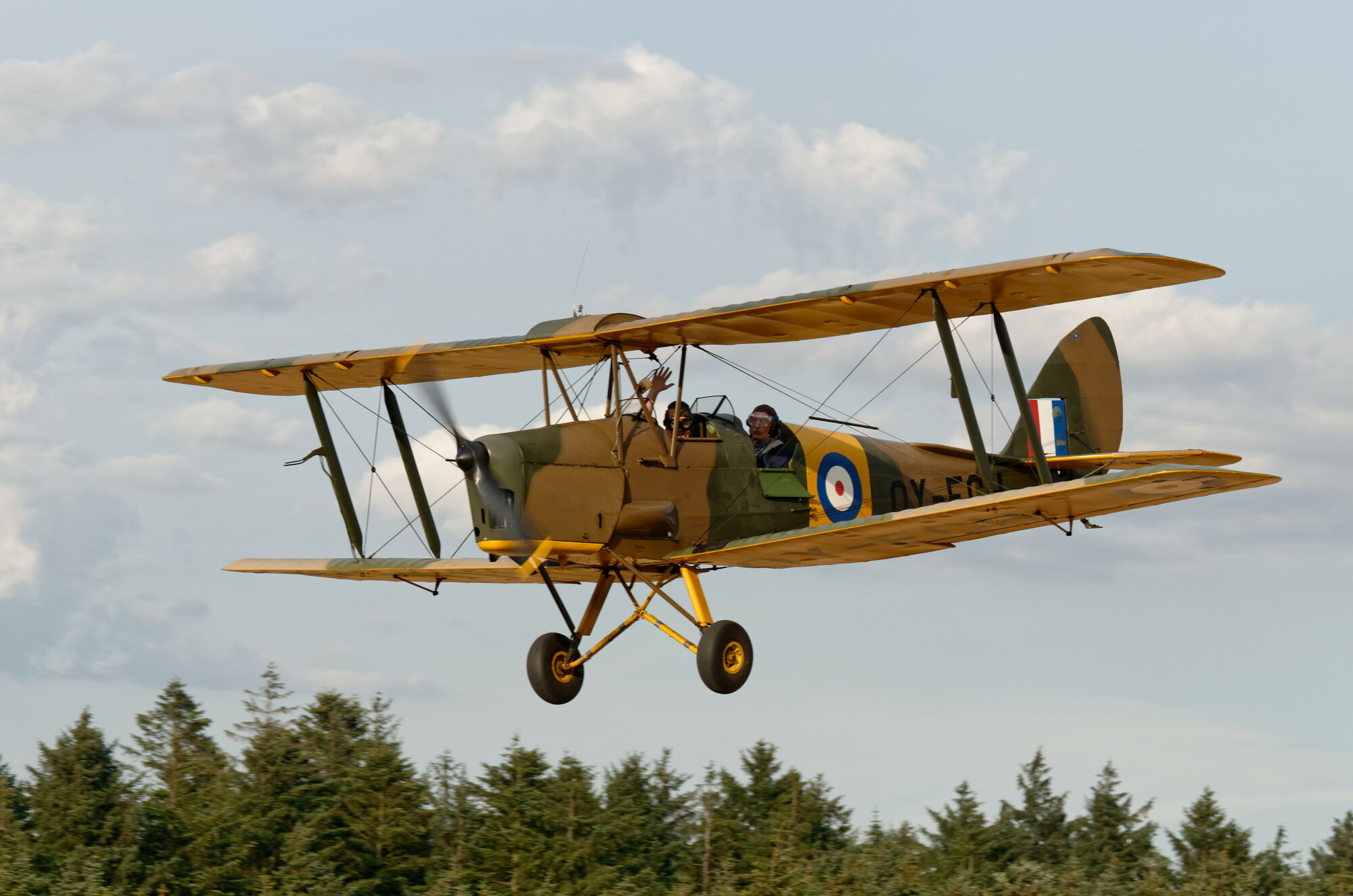 DSC_2953_DxO.jpg