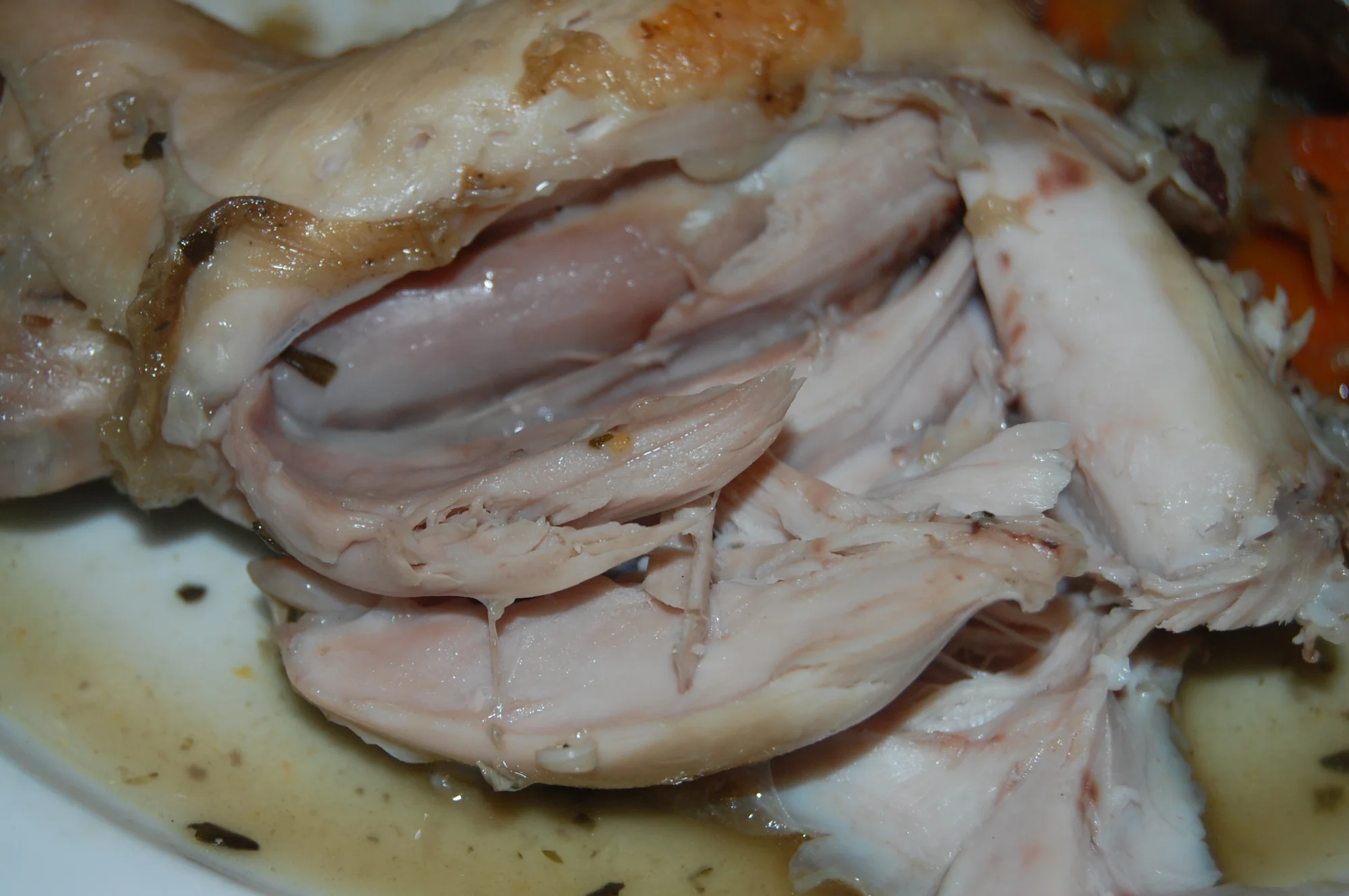 DSC_9931.webp