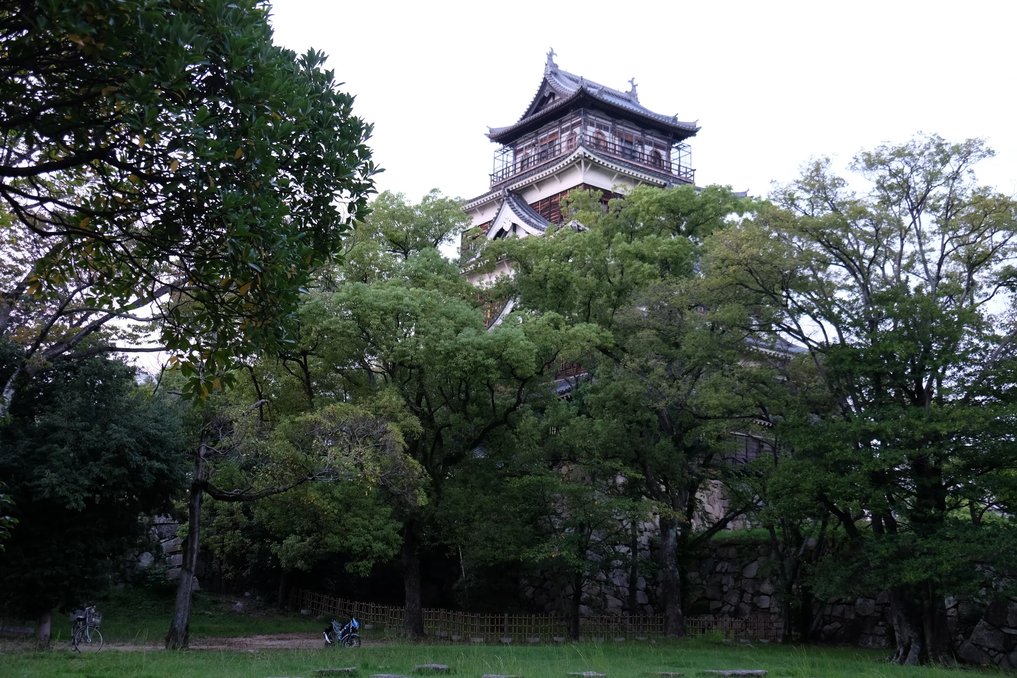 DSCF0151.webp