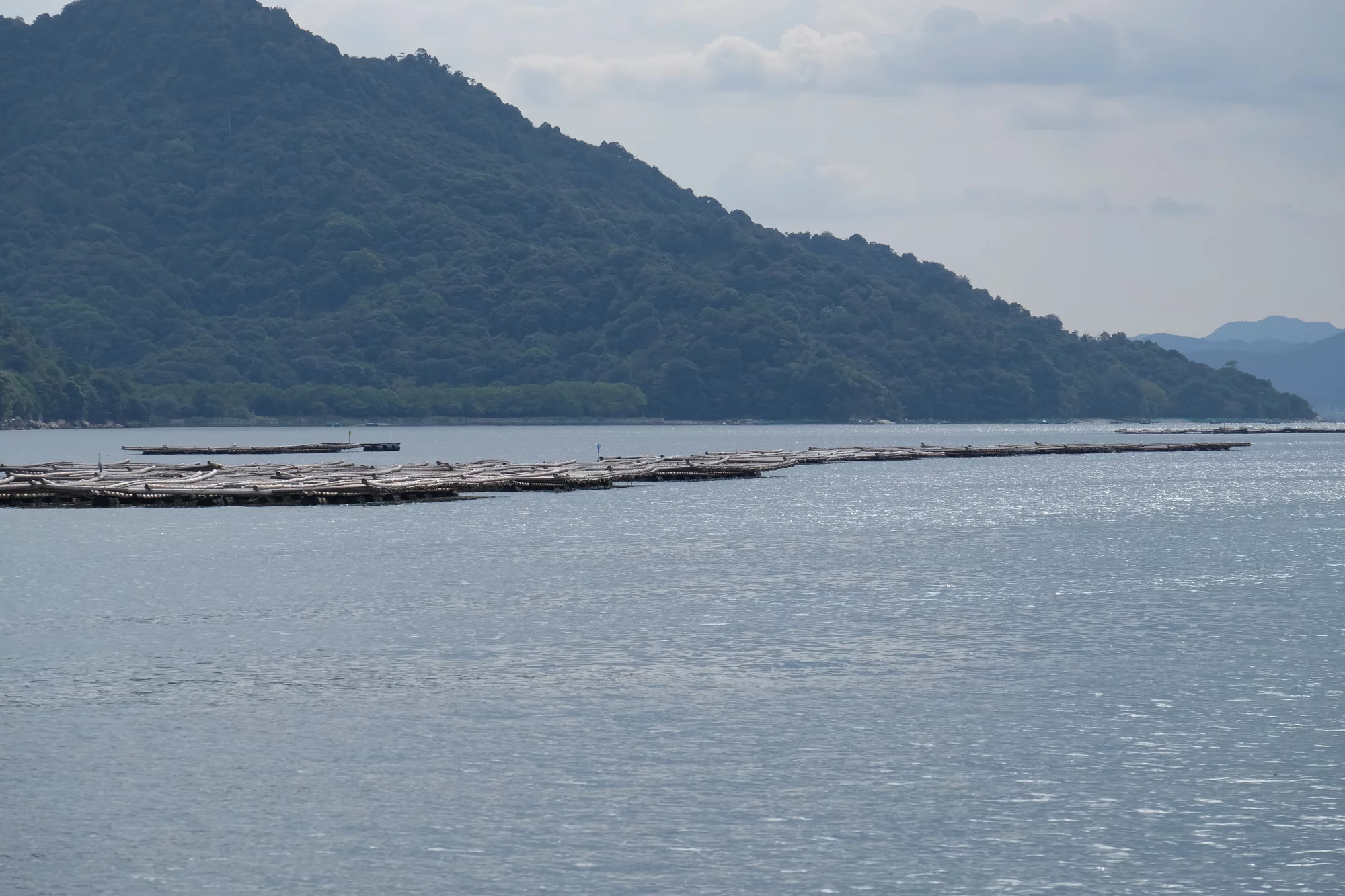 DSCF0231.webp