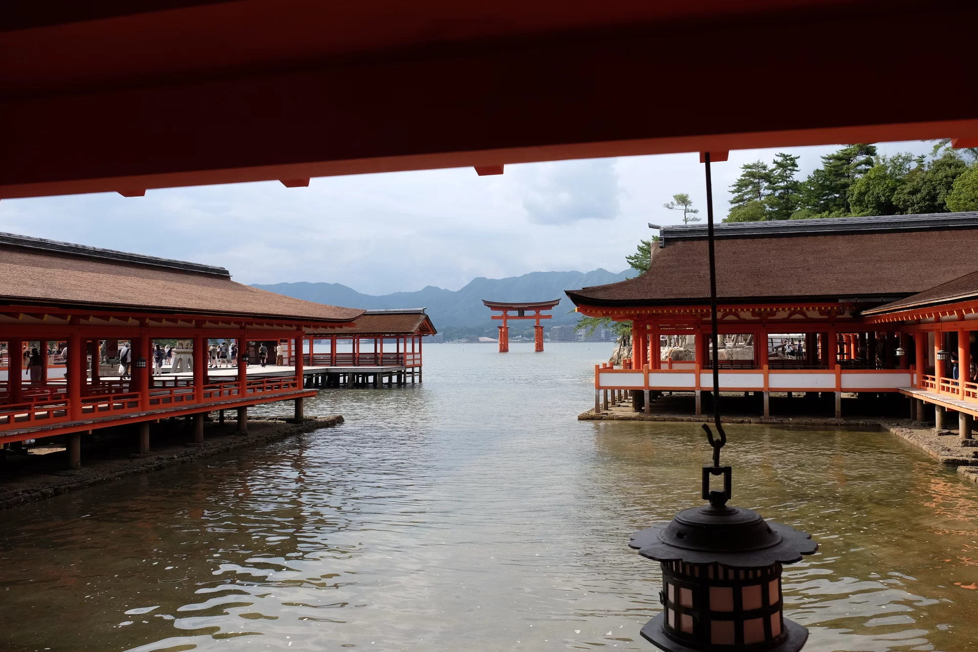 DSCF0259.webp