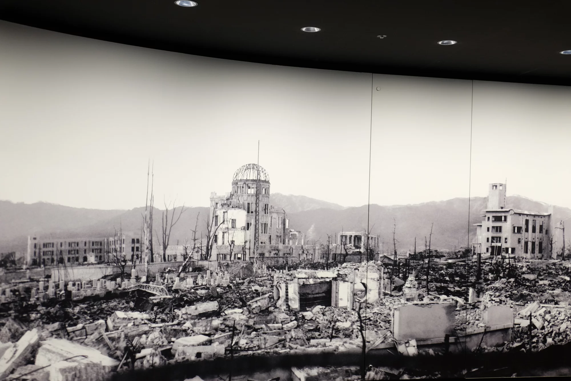 DSCF0339.webp