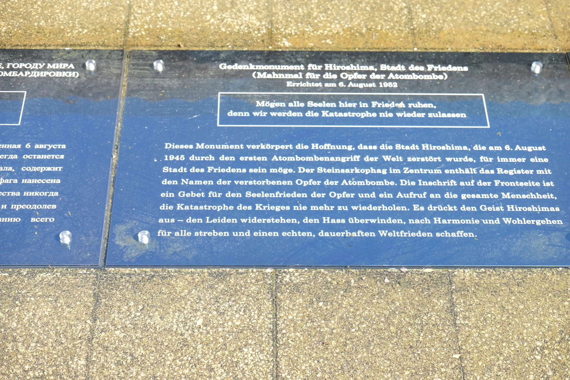 DSCF0351.webp