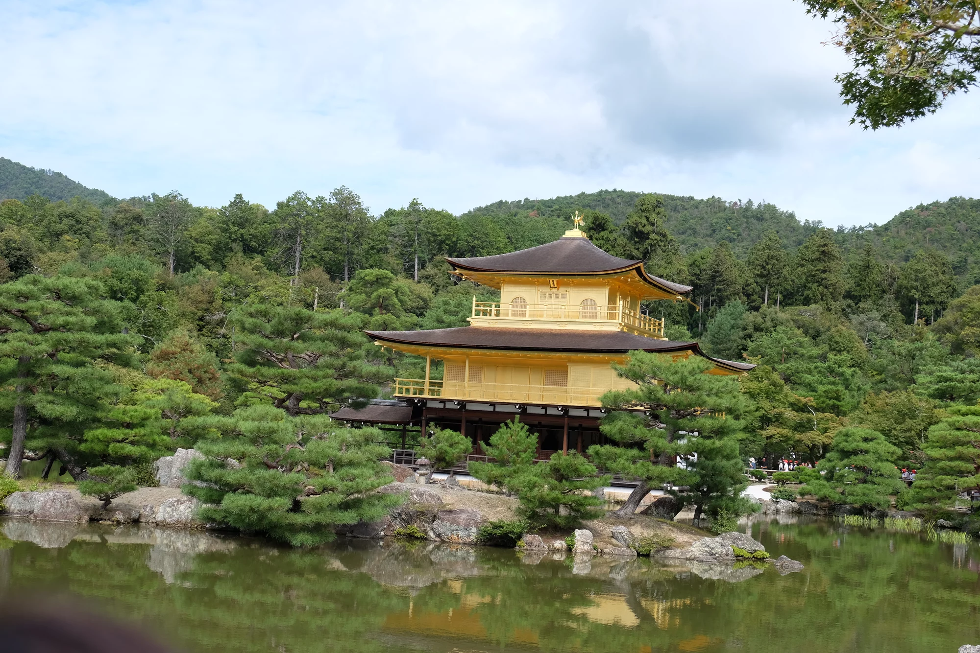 DSCF0422.webp