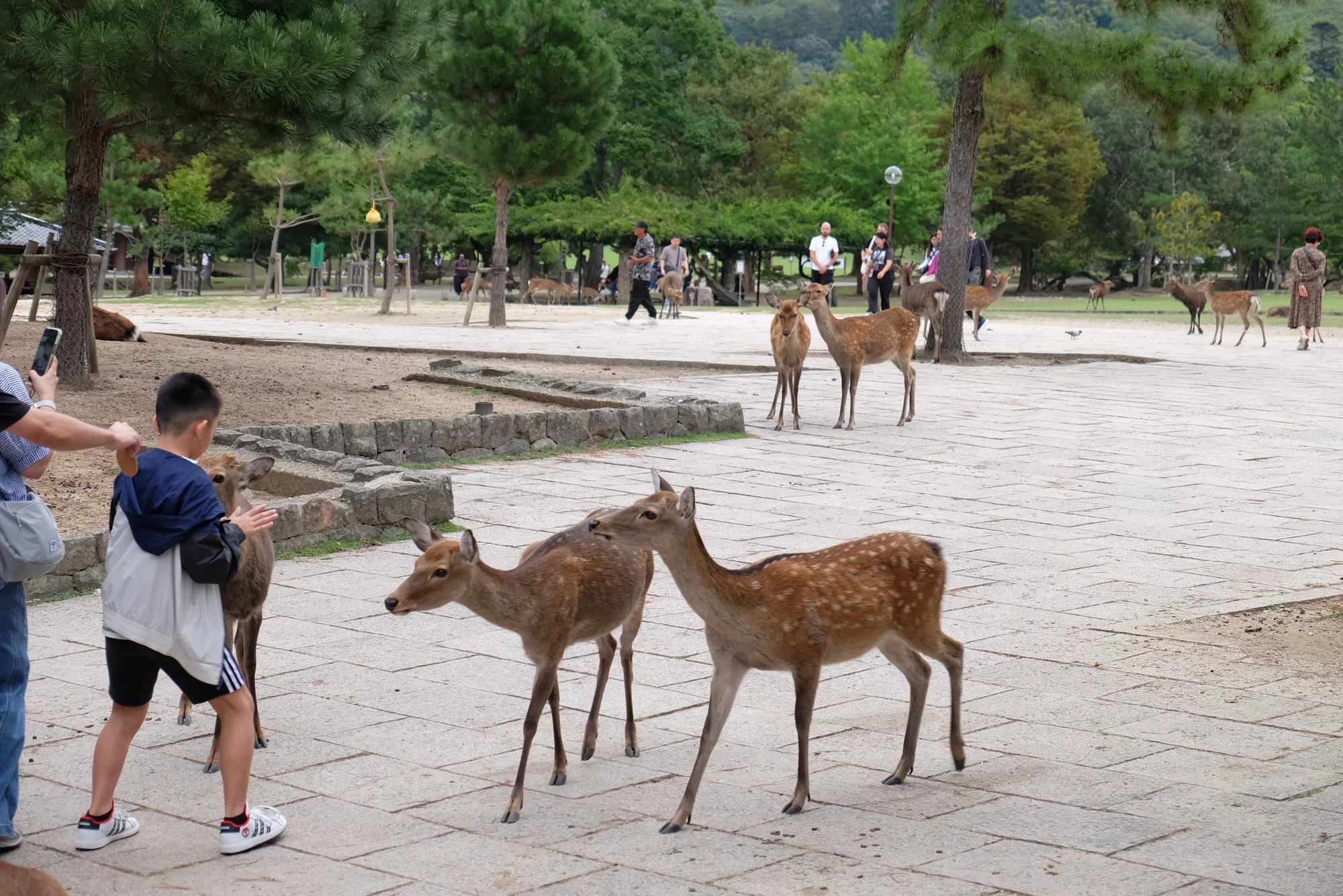 DSCF0512.webp
