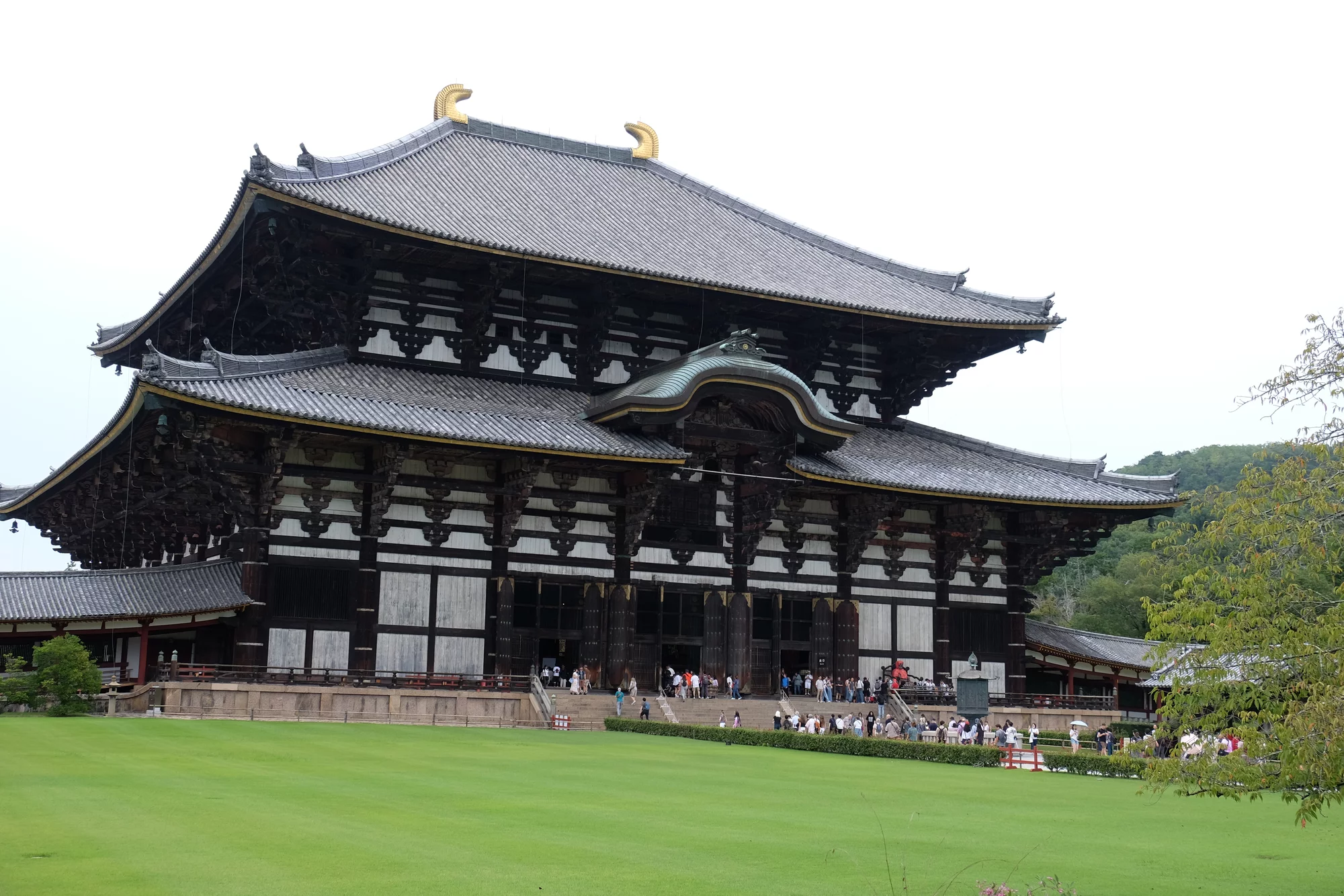 DSCF0529.webp