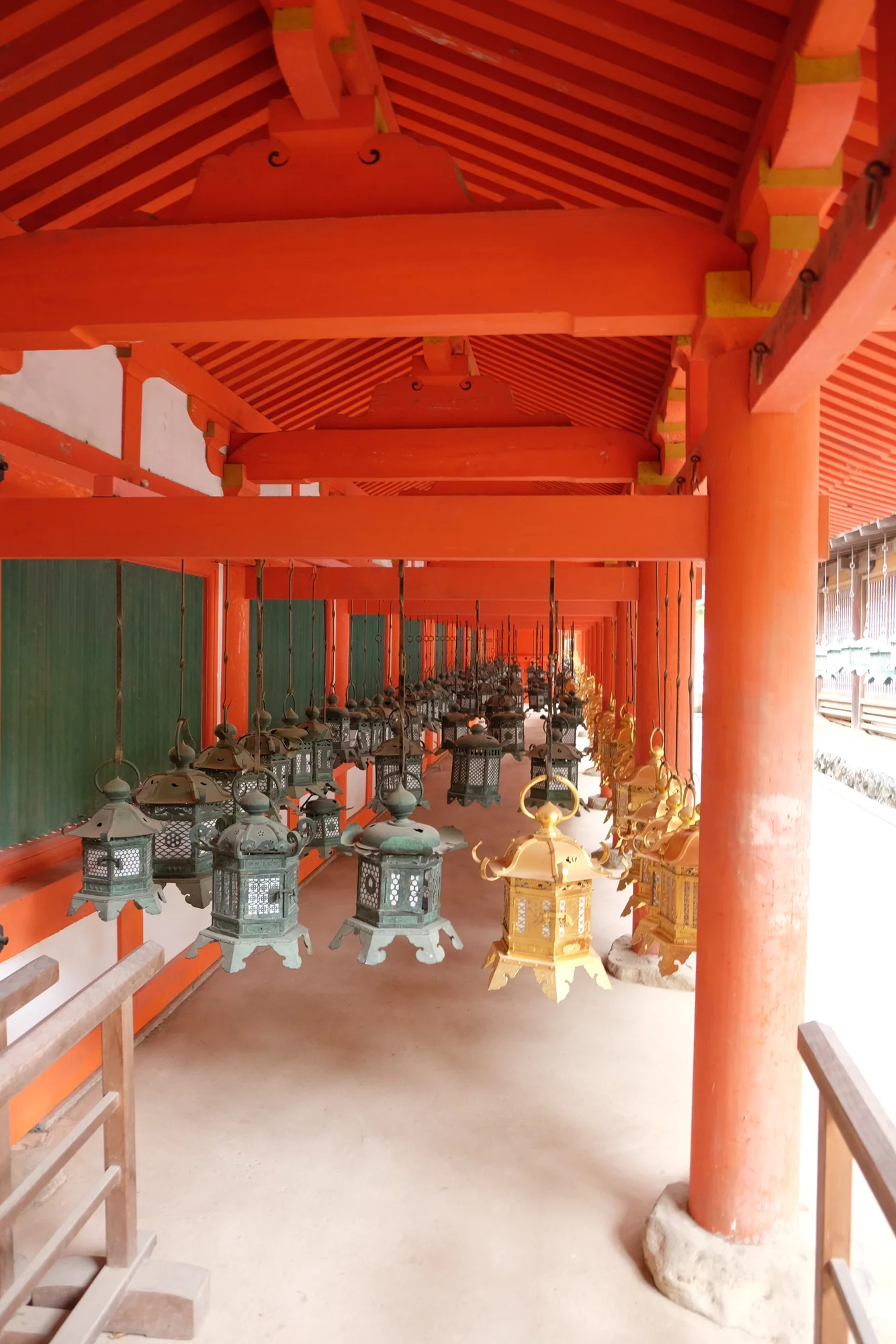 DSCF0588.webp