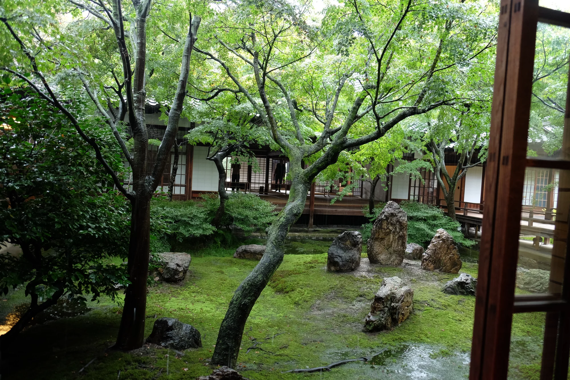 DSCF0605.webp