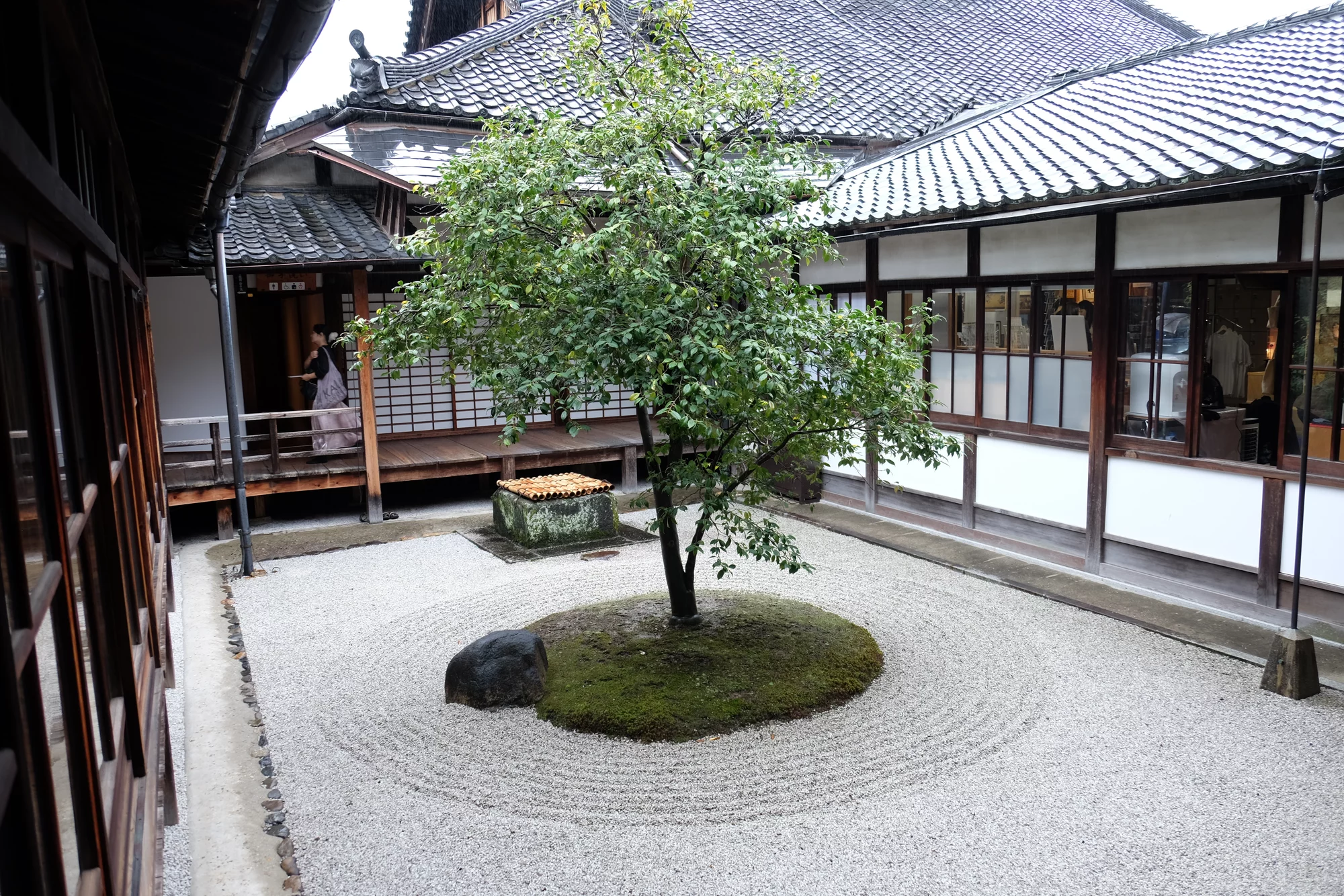 DSCF0611.webp