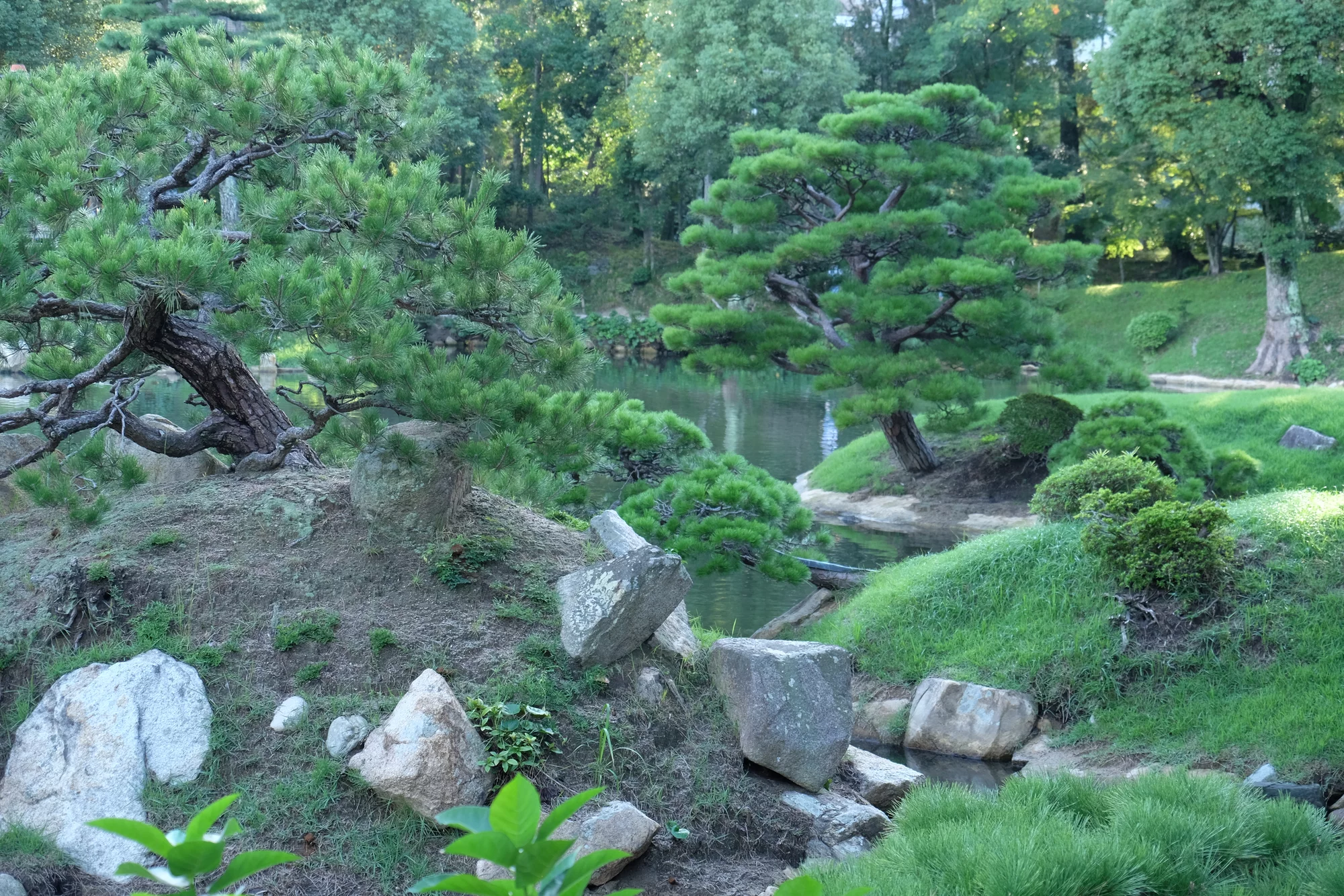 DSCF0693.webp