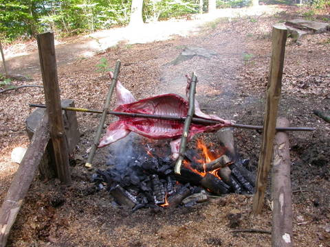 DSCN0253.JPG