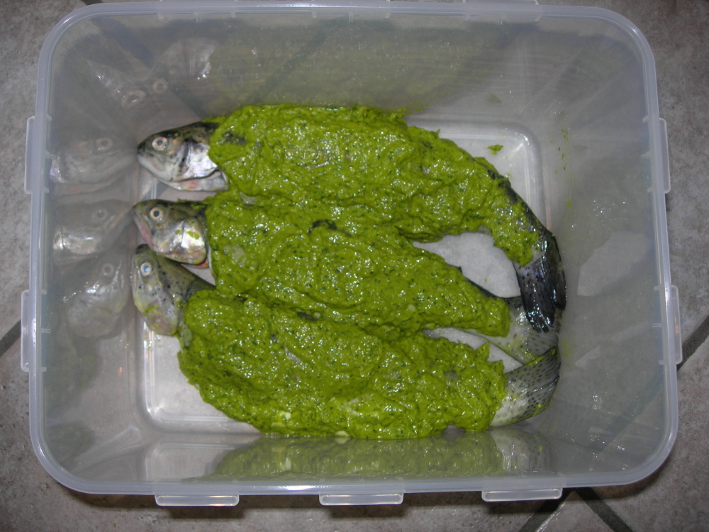 DSCN5722.jpg
