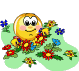 garten.gif