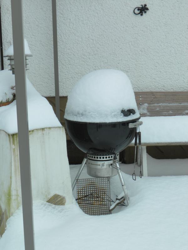 grill.jpeg