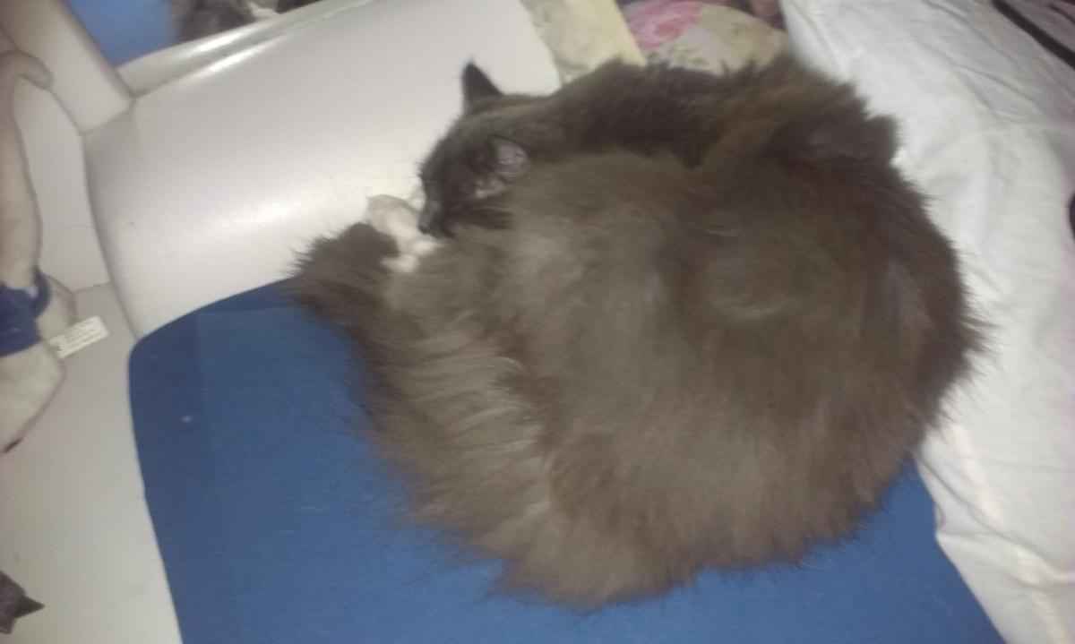 IMAG0179.jpg