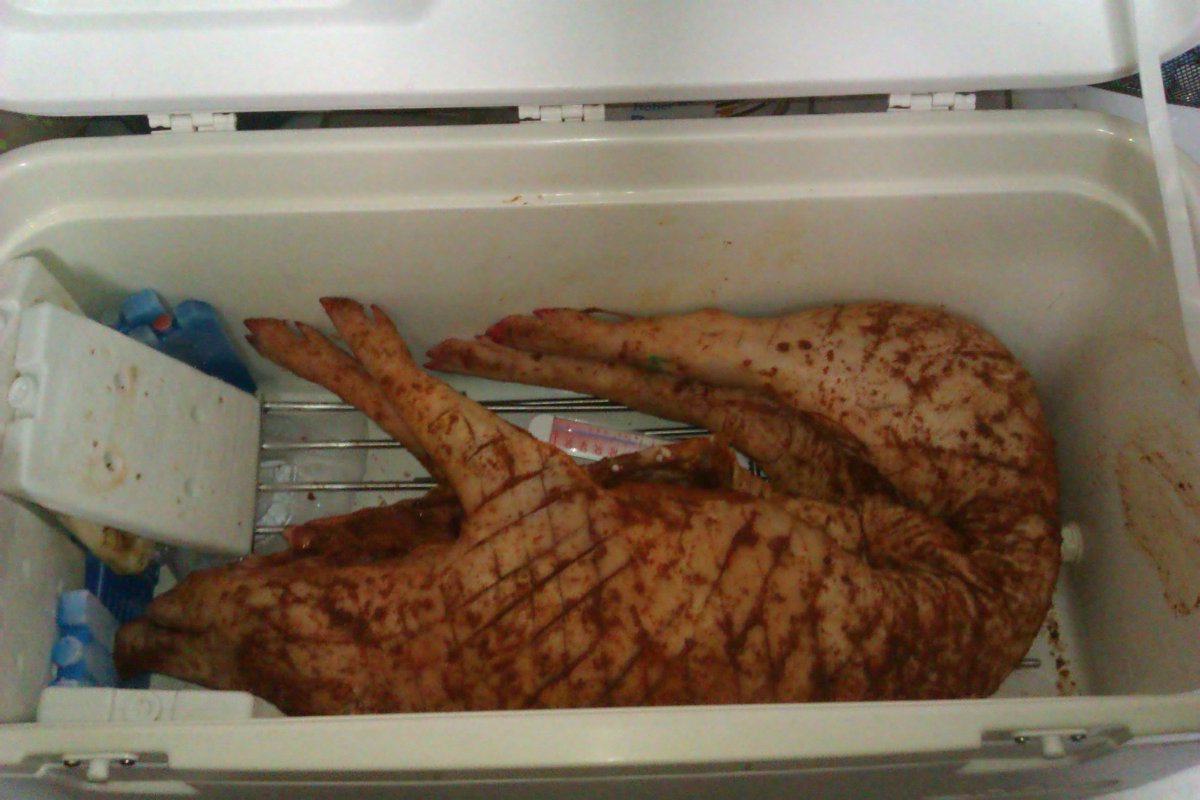 IMAG0442.jpg