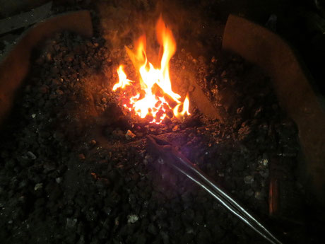 image-13.jpg