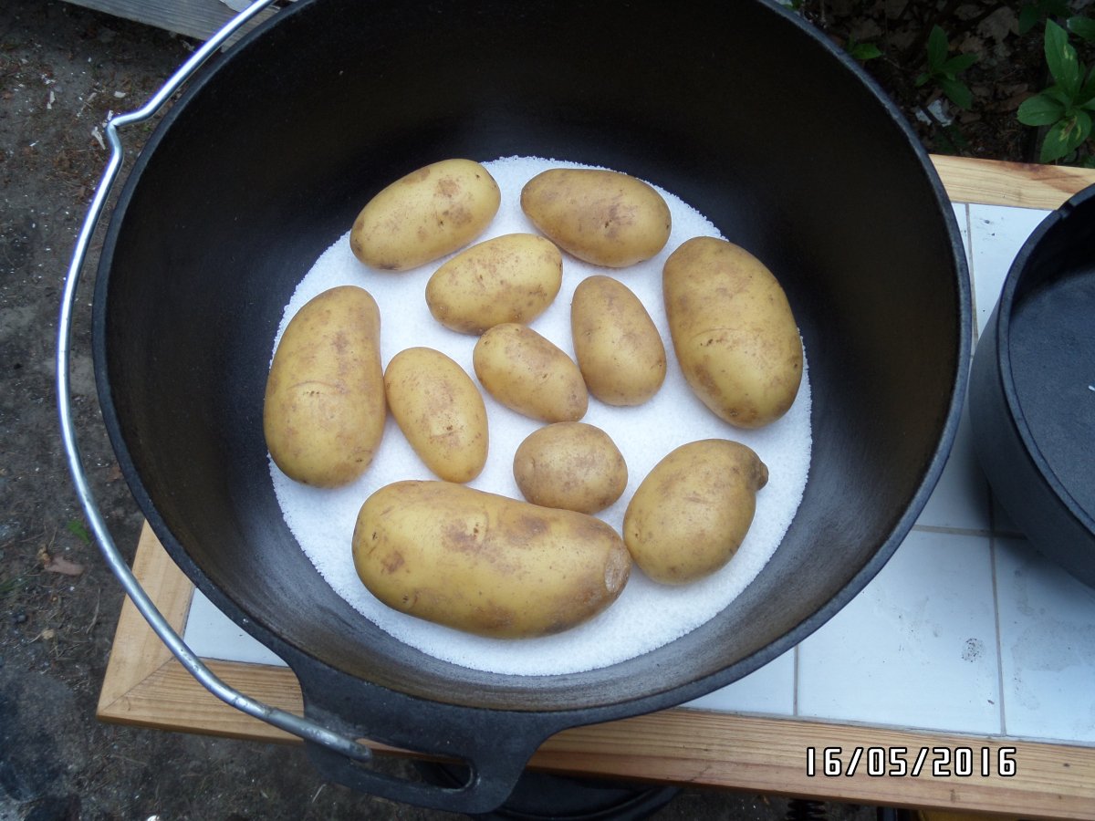 image.jpeg