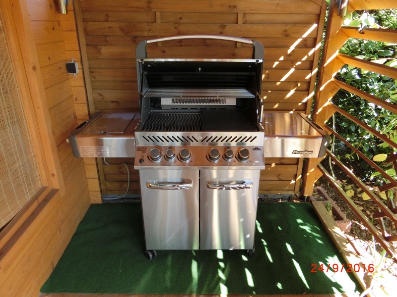 image.jpeg