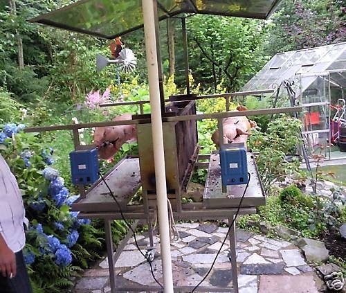 image.jpg