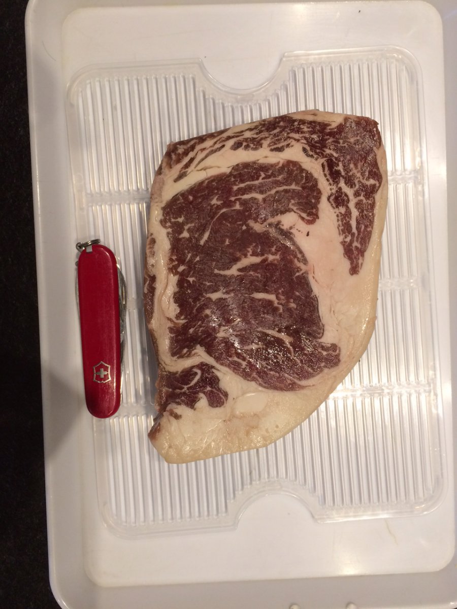 image1.jpeg
