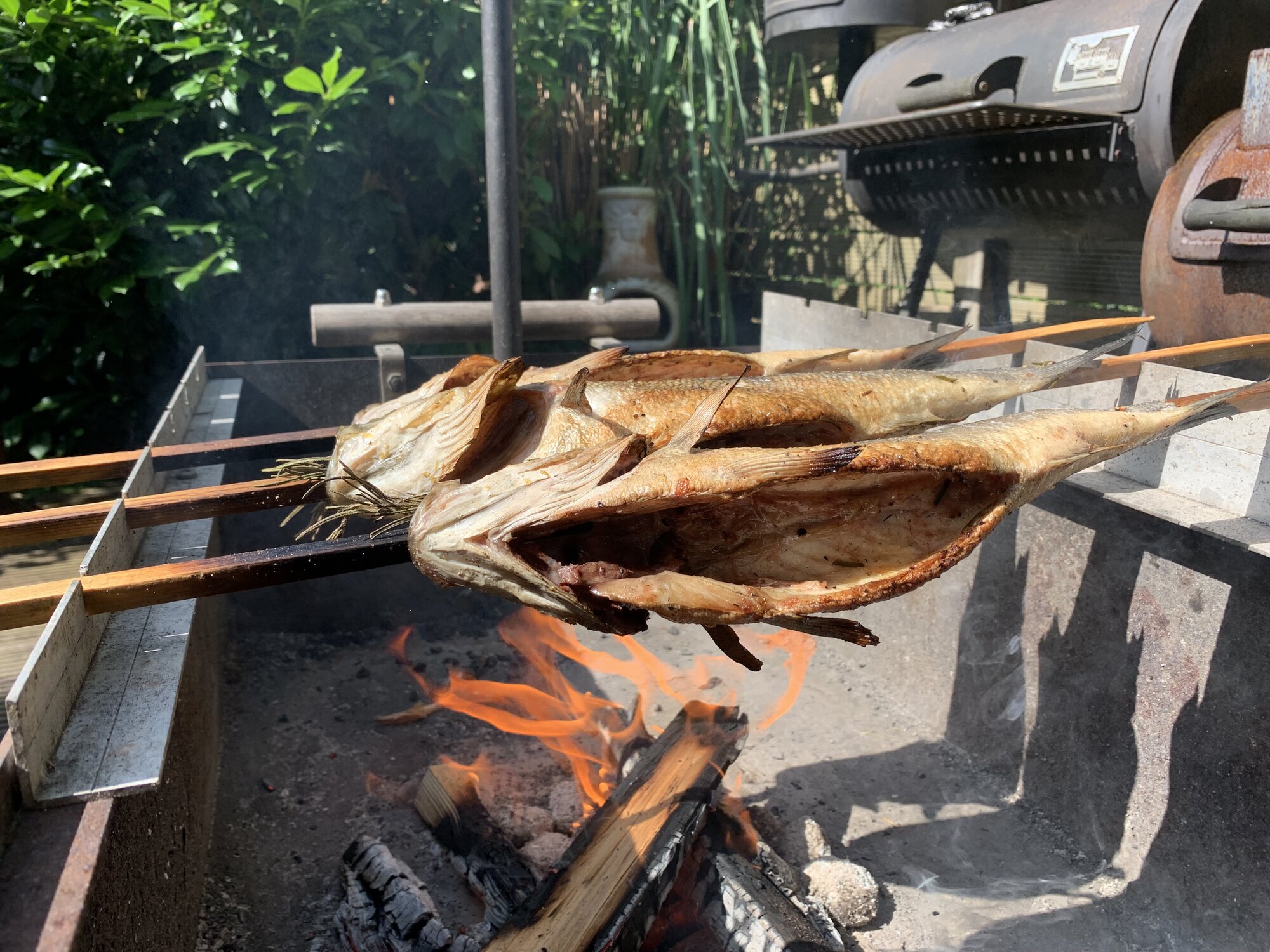 IMG_0063.jpeg