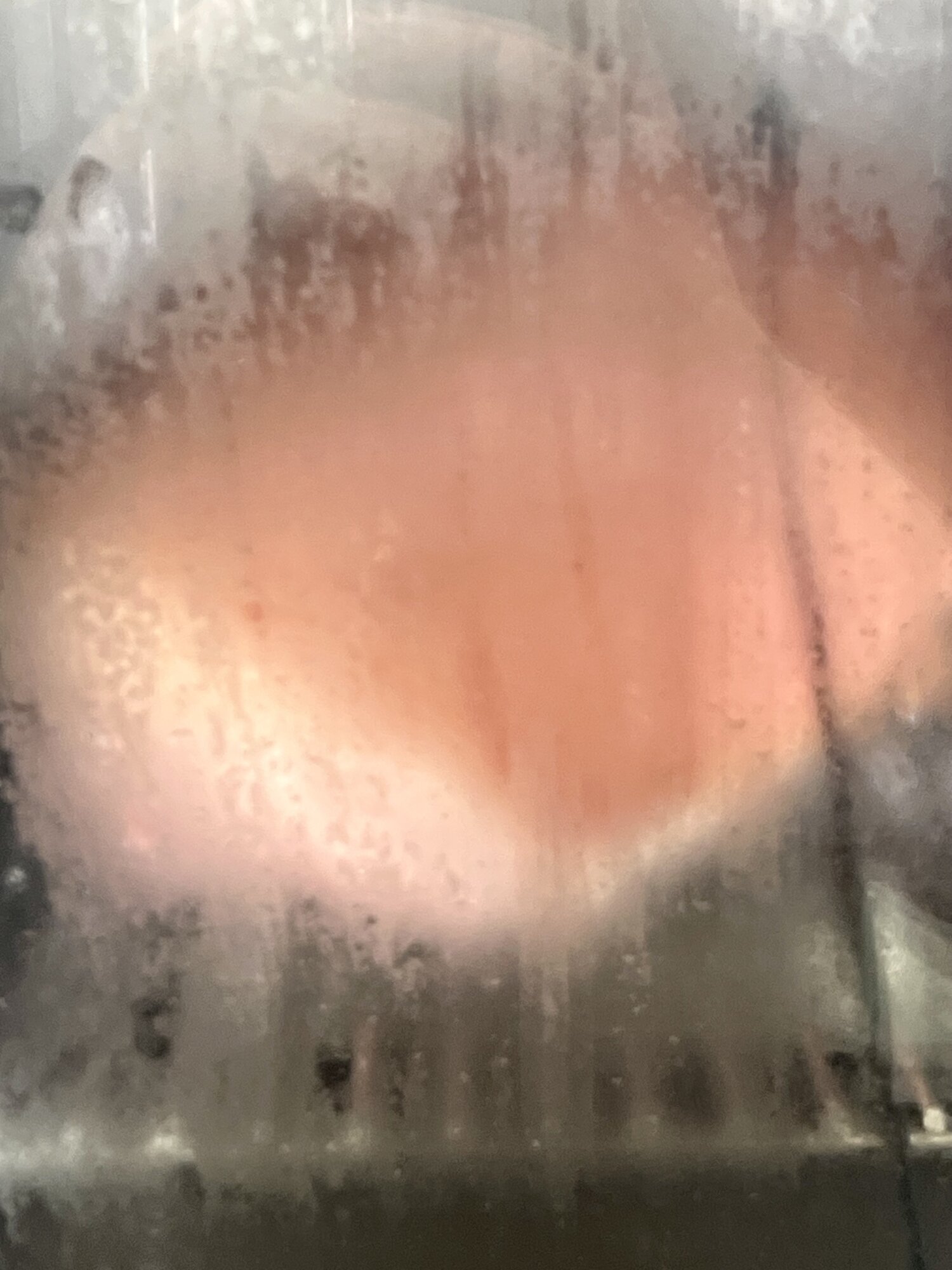 IMG_0125.jpeg