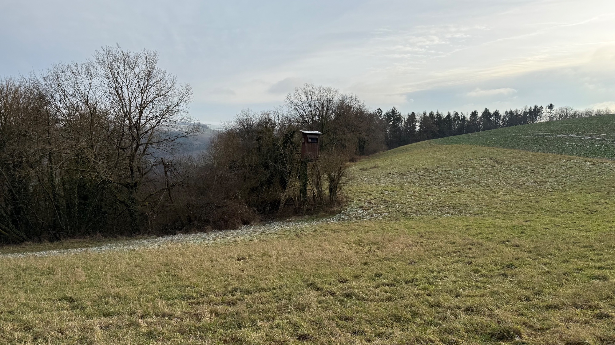 IMG_0607.jpeg