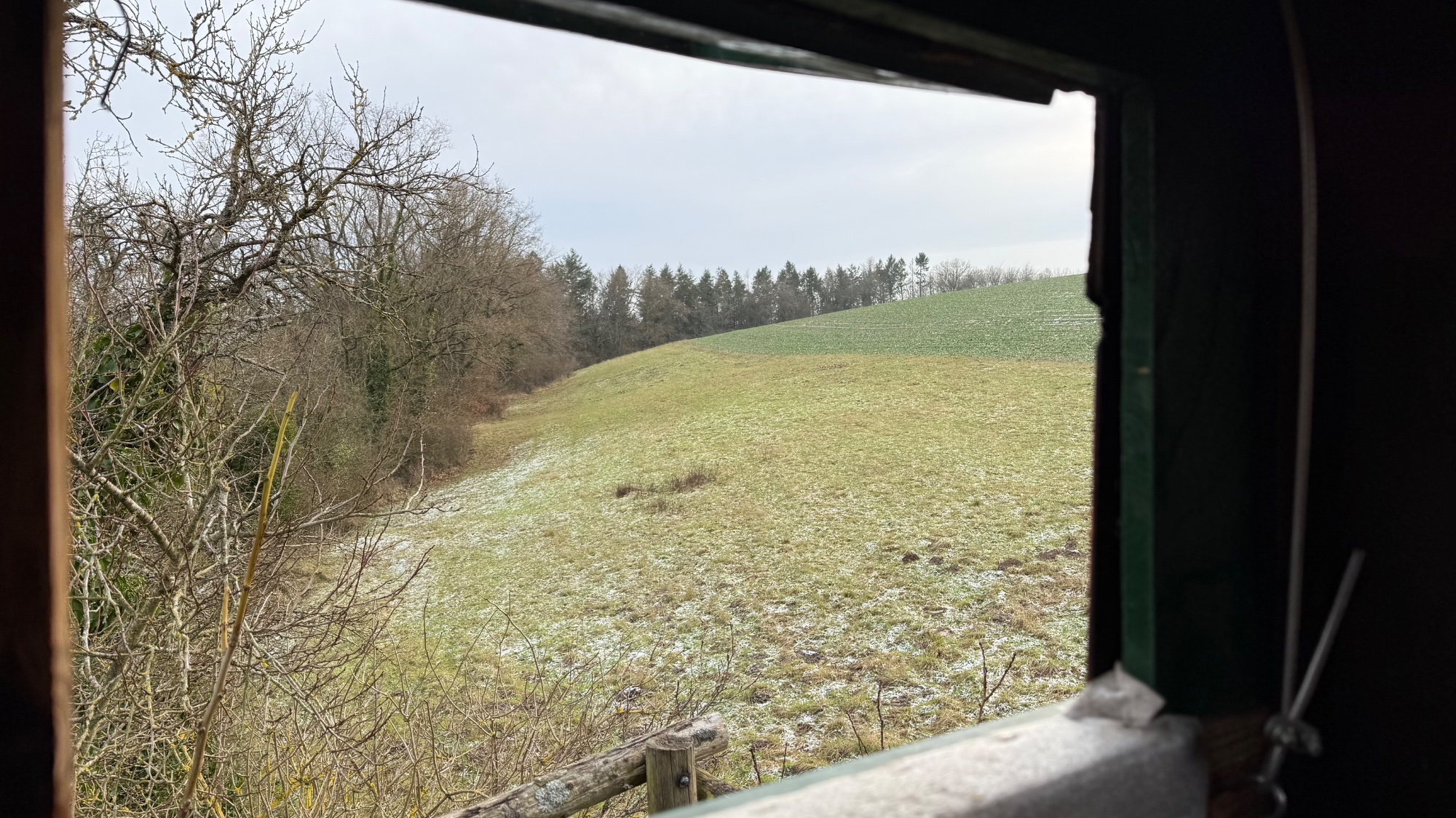 IMG_0610.jpeg