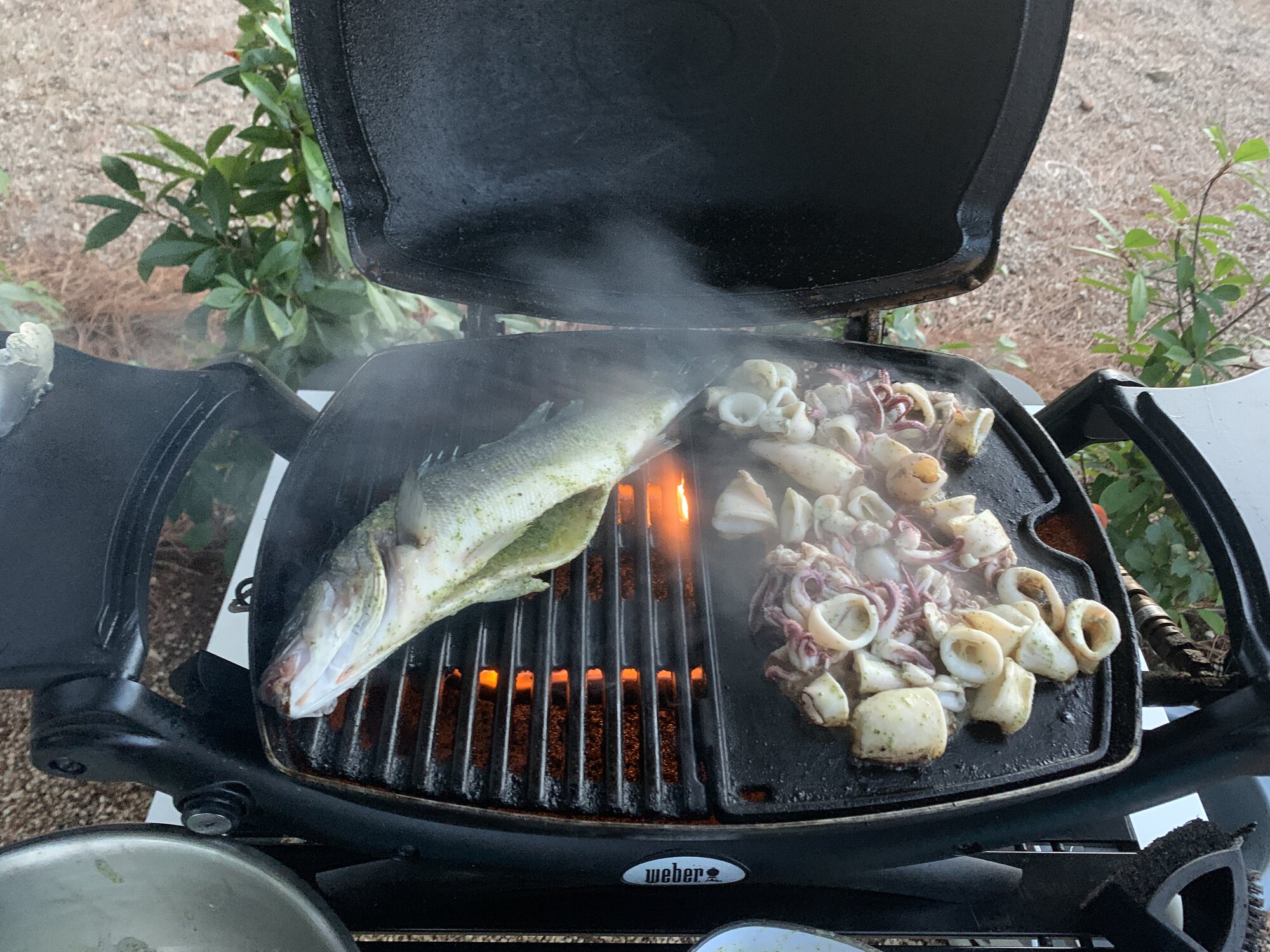 IMG_0634.jpeg
