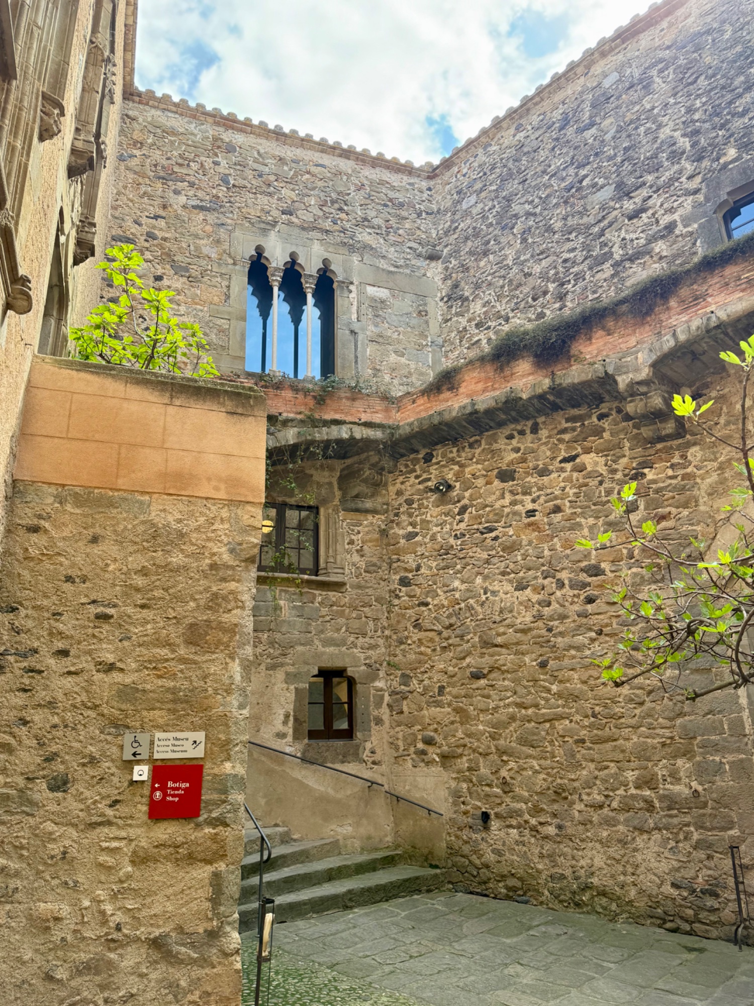 IMG_1012.jpeg