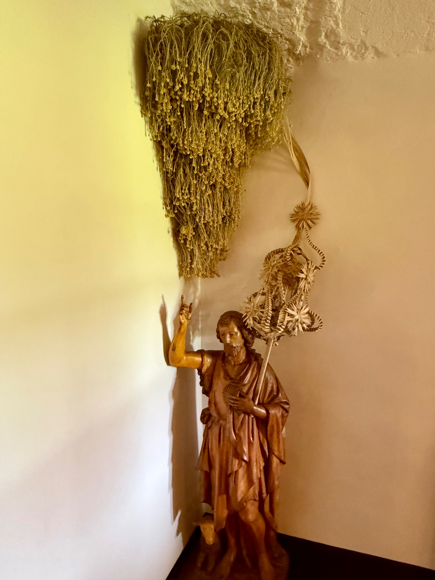 IMG_1052.jpeg
