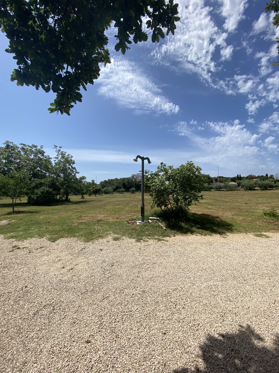 IMG_1139.jpeg