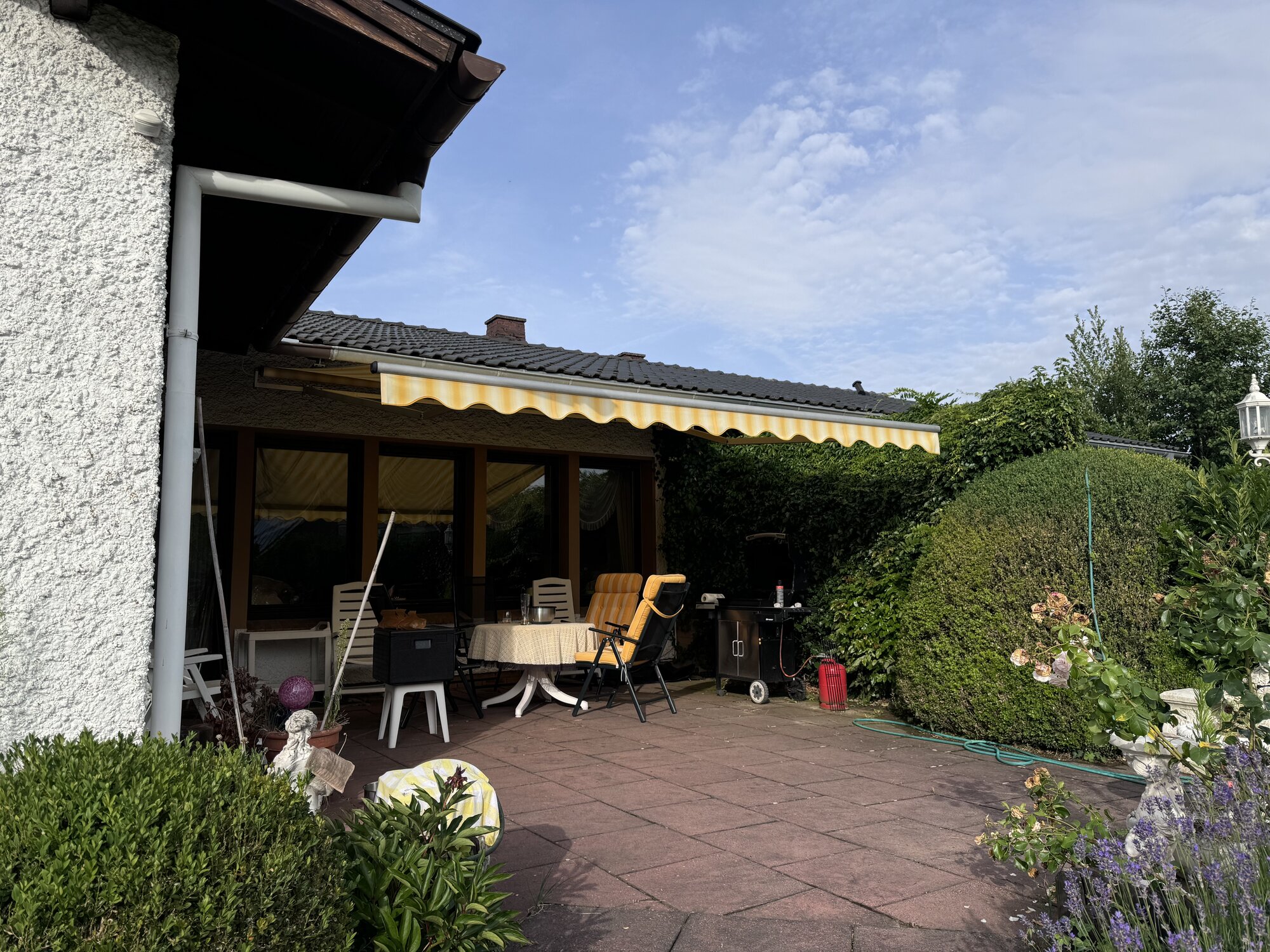 IMG_1168.jpeg