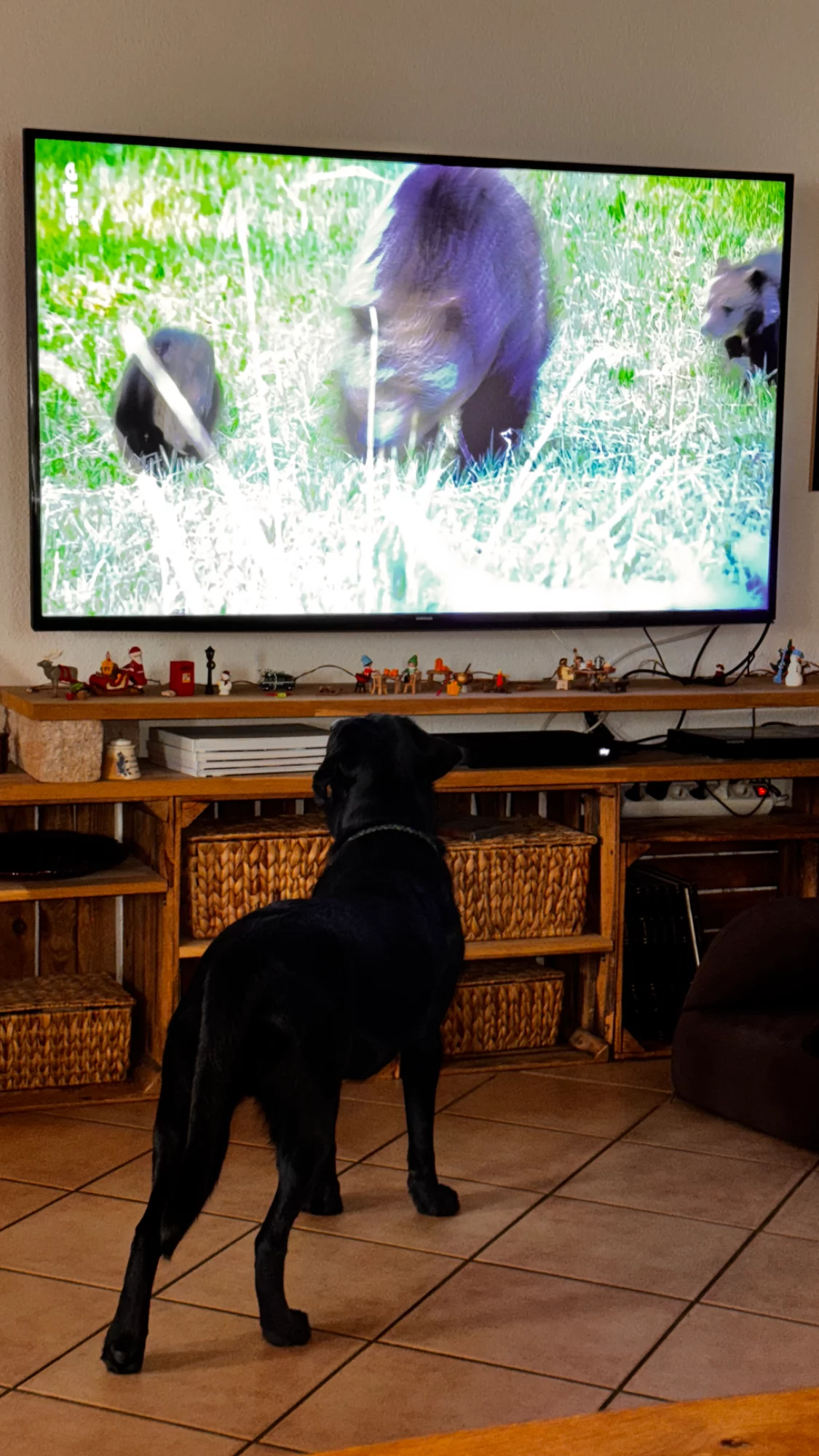 IMG_1326.webp