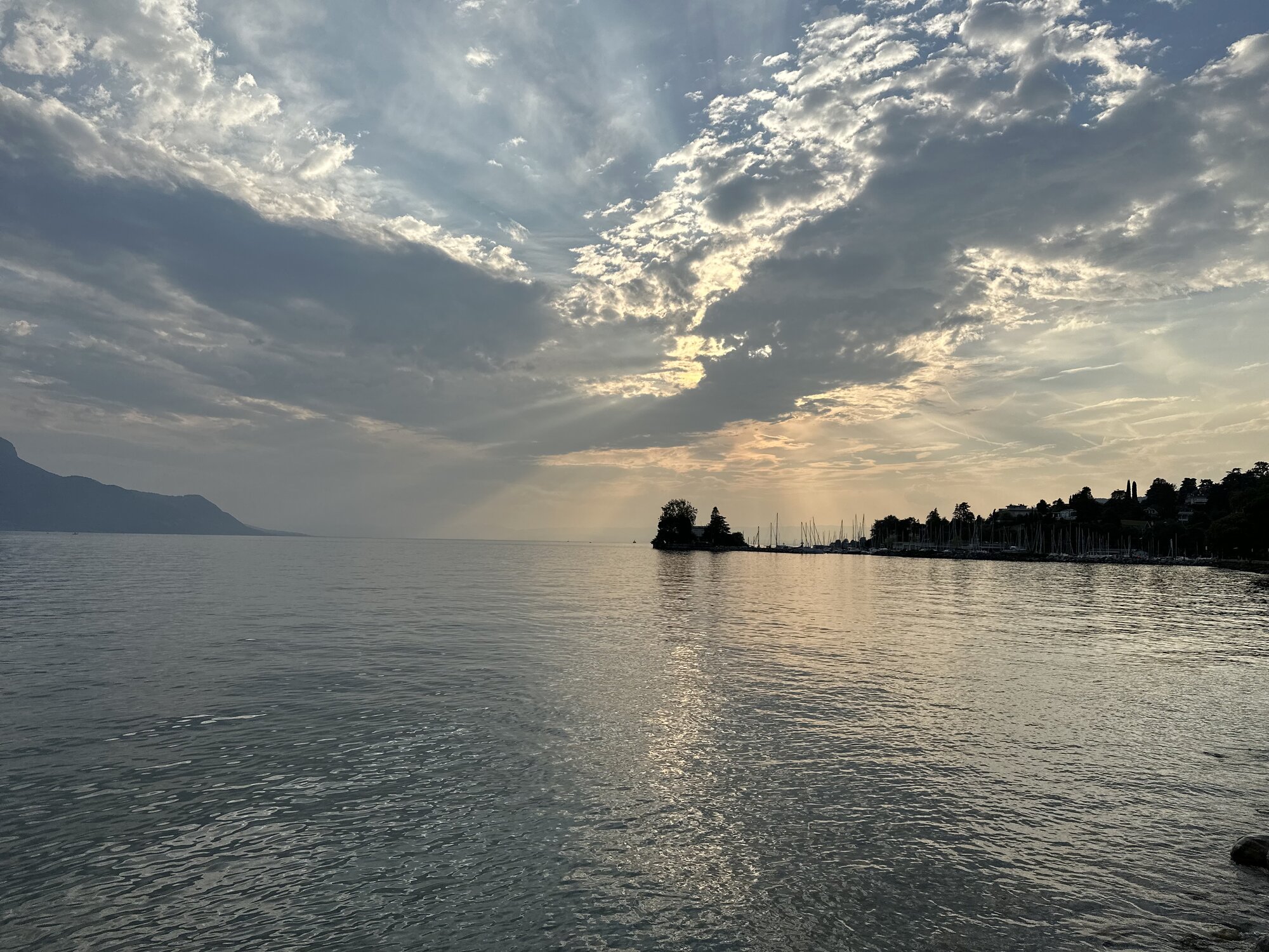 IMG_1414.jpeg