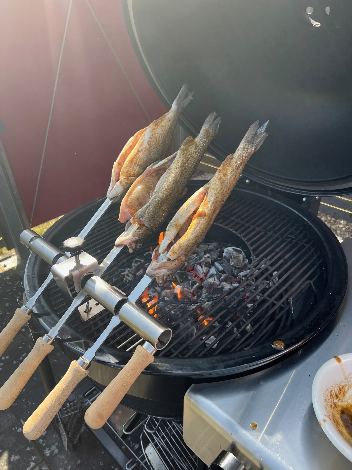 IMG_1576.jpeg