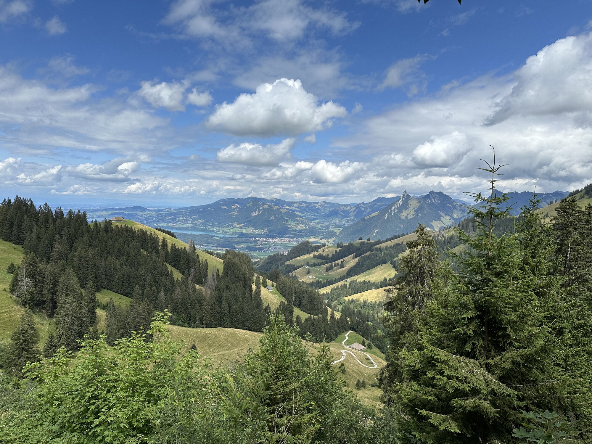 IMG_1577.jpeg
