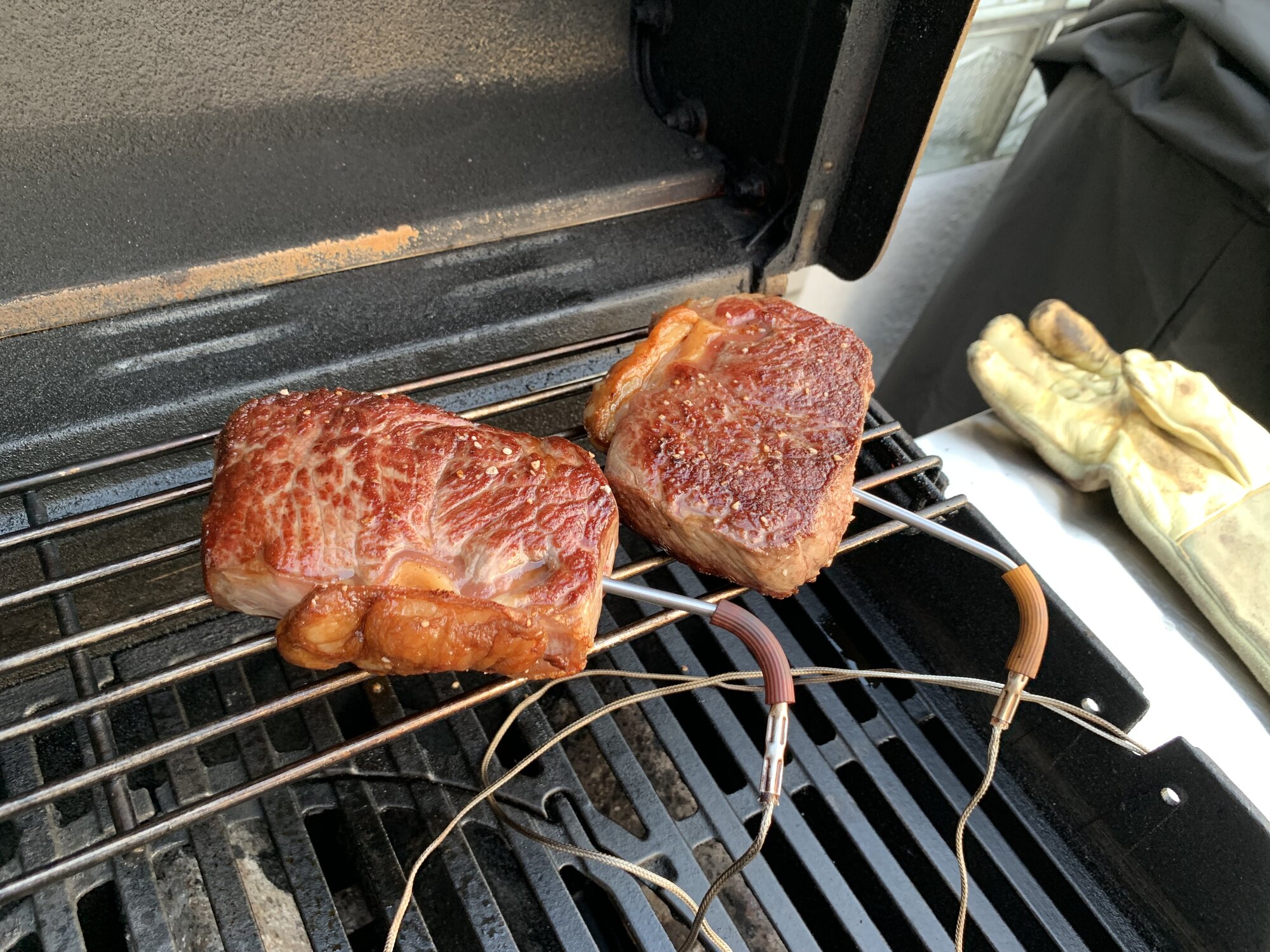 IMG_1952.jpeg