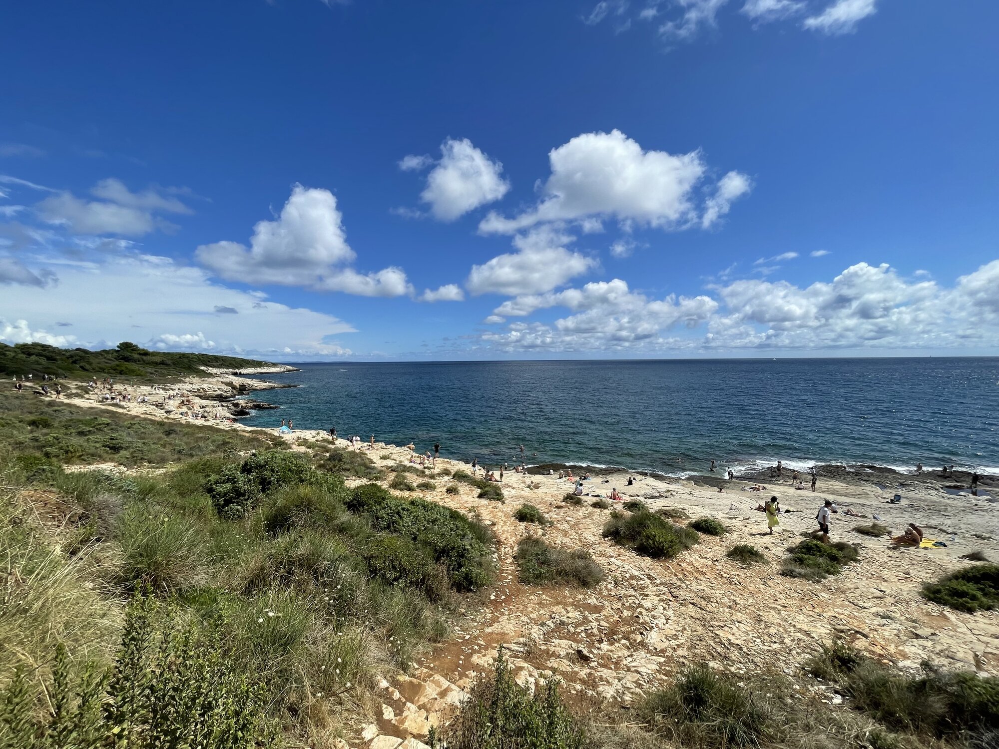 IMG_1984.jpeg