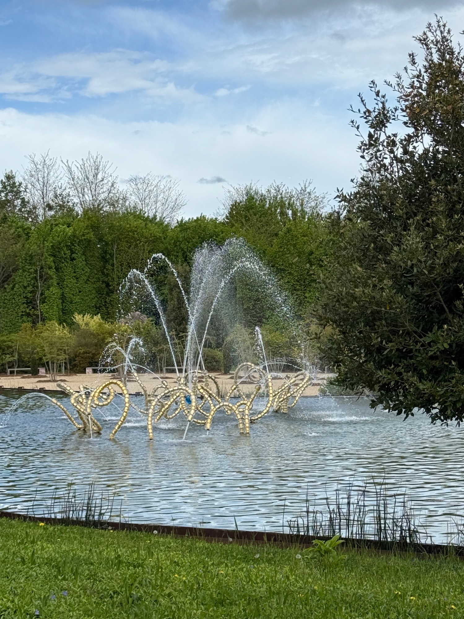 IMG_2087.jpeg