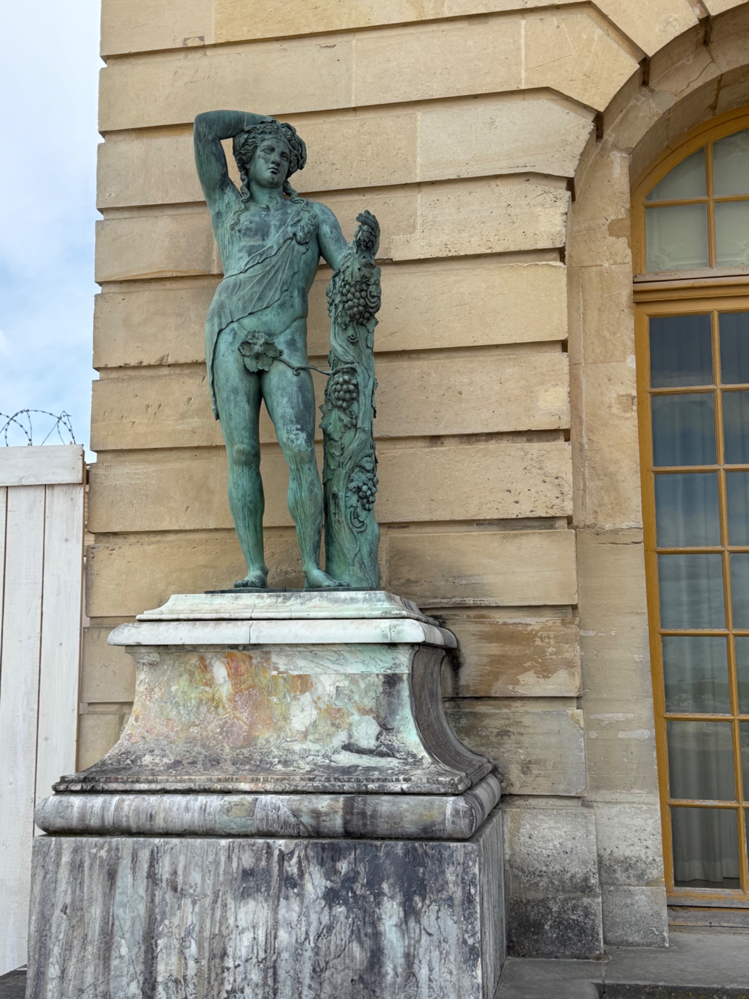 IMG_2096.jpeg