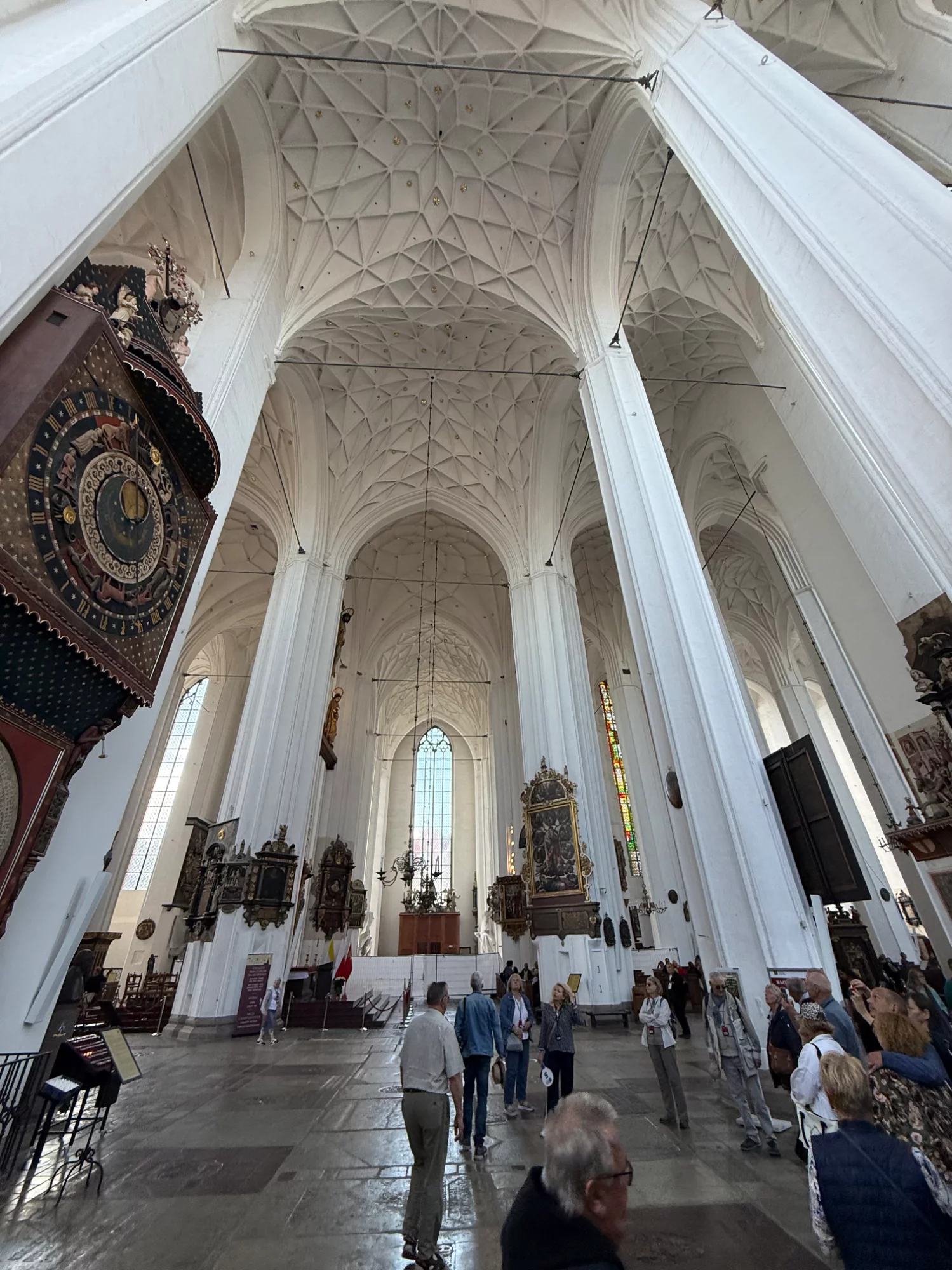 IMG_2480.webp