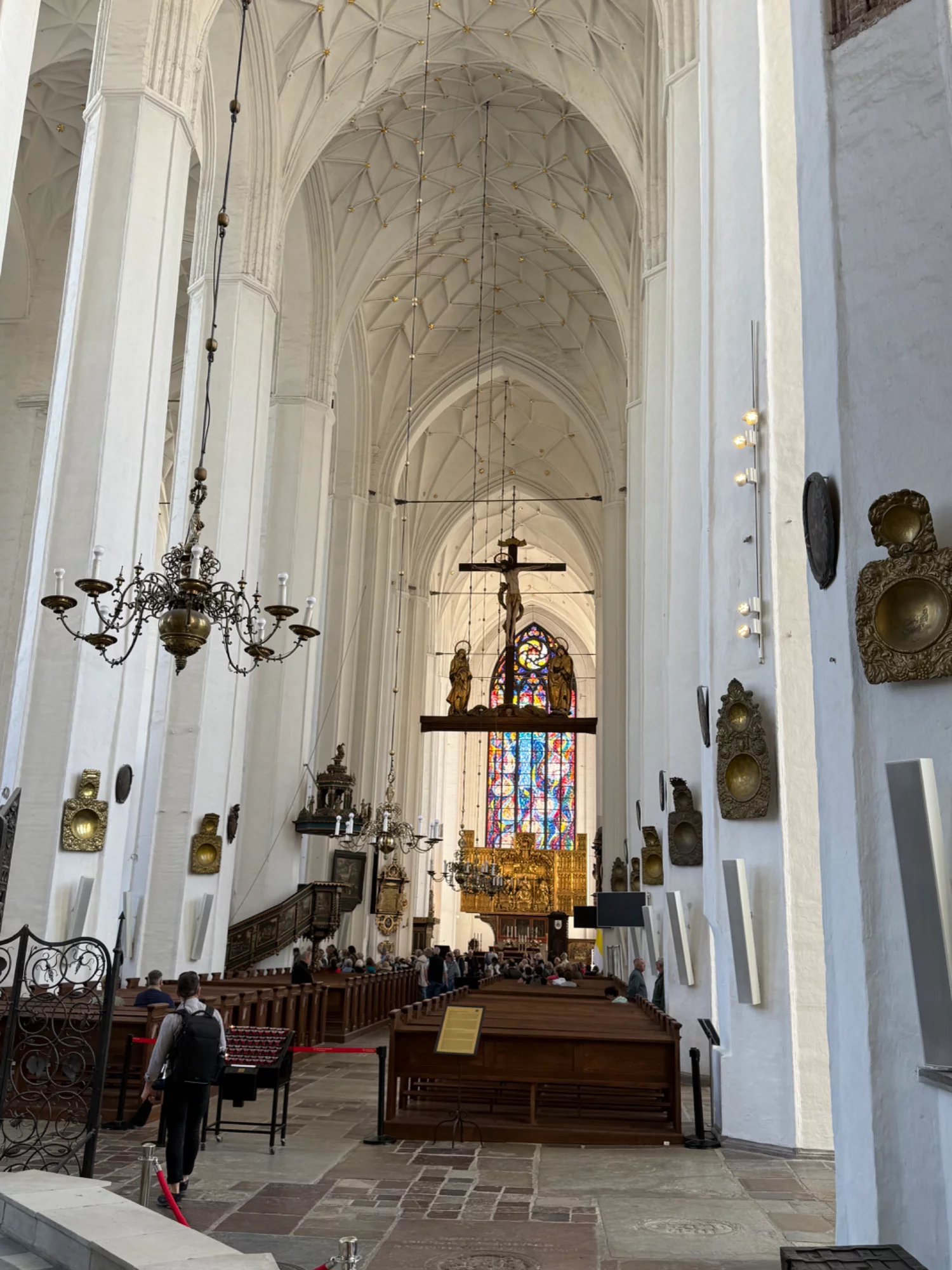 IMG_2550.webp