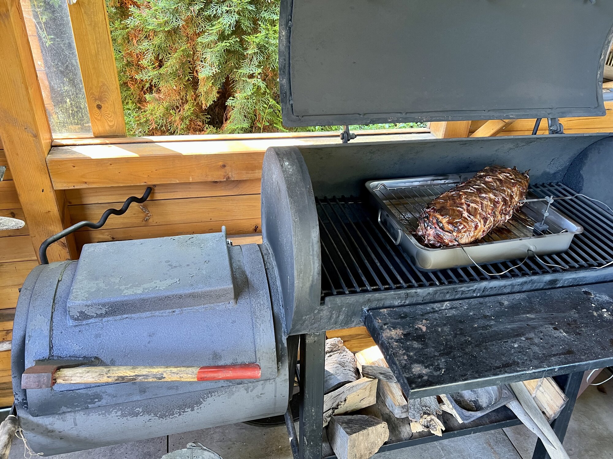 IMG_2644.jpeg