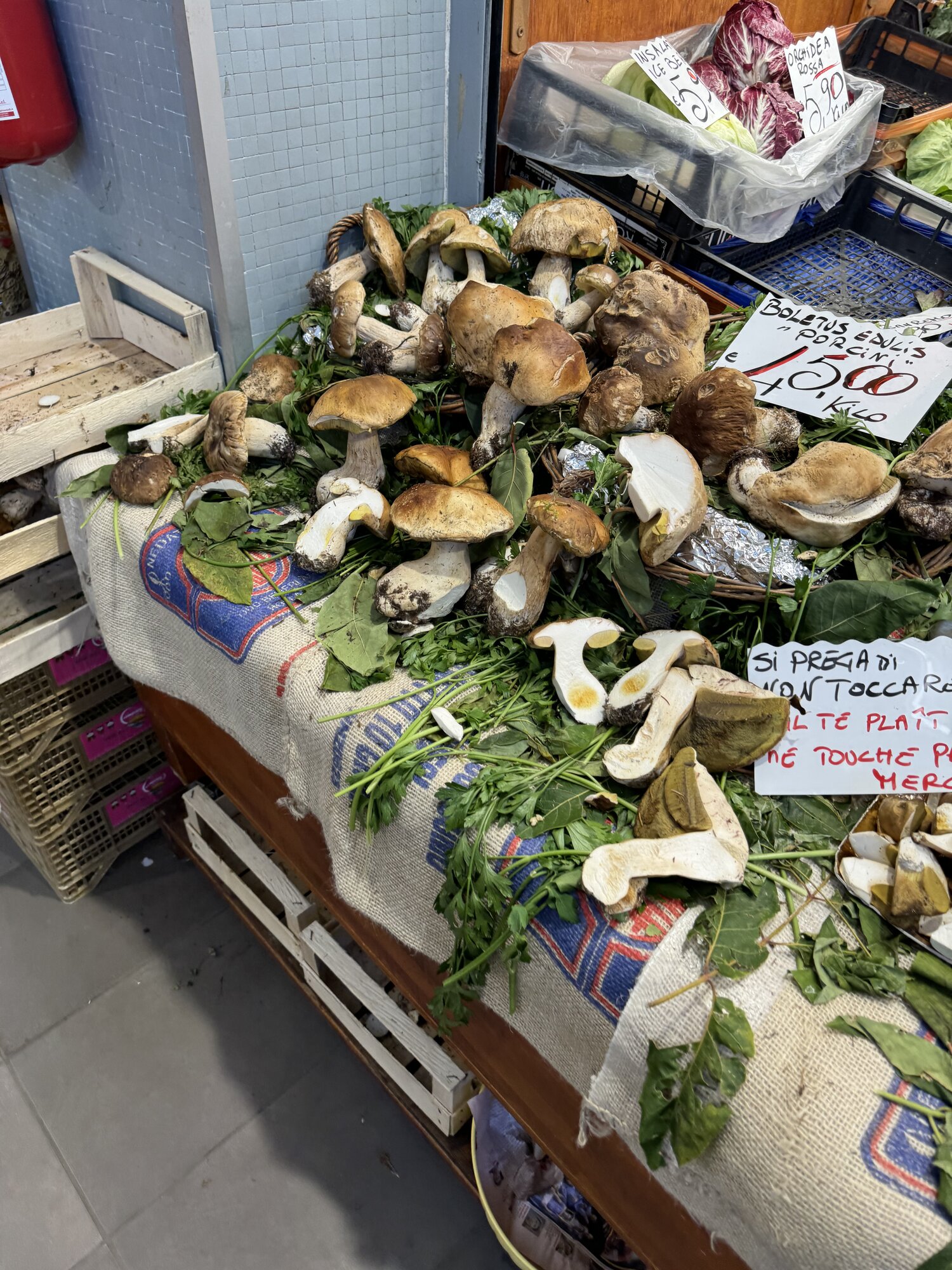 IMG_2702.jpeg