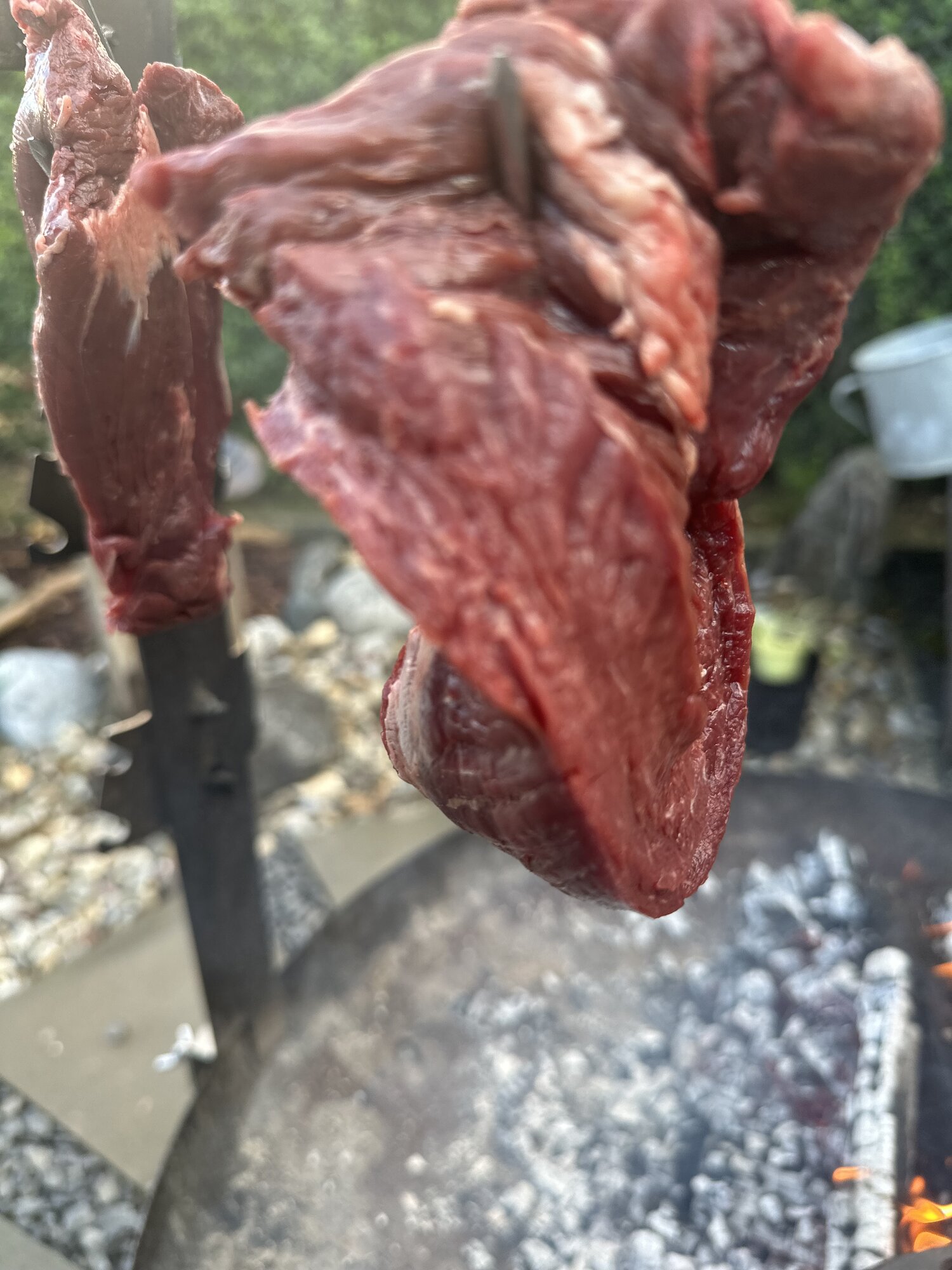 IMG_2785.jpeg